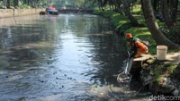 Sampah yang menumpuk di setu juga dibersihkan.