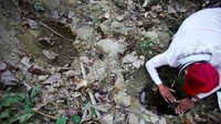 Seorang warga mengukur telapak gajah. Setiap tahun, rata-rata 7 orang meninggal akibat serangan gajah, menurut pemerintah Myanmar (Minzayar/Reuters)
