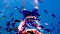 Dhani juga suka snorkling dan menikmati laut. Dalam caption Instagramnya dia menuliskan Indonesia kaya! namun tak menyebutkan lokasi liburannya. (dhaniwirianata/Instagram)