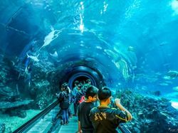 Potret Eskalator Paling Unik di Dunia