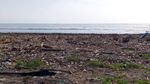 Duh Miris, Sampah Menumpuk Kotori Pantai Loji di Jawa Barat