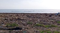 Jika dibutuhkan, Ruslan pun mengatakan dirinya bersama rekan-rekannya yang lain siap untuk menjadi relawan unutk membersihkan pantai dari tumpukan sampah tersebut. Foto: Istimewa.
