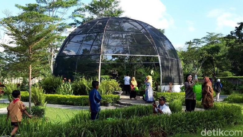 Liburan Ke Kebun Raya Indrokilo Di Boyolali Tiketnya Masih