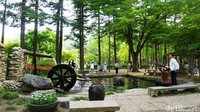Tentu, negara dalam negara bagi Pulau Nami hanyalah kiasan. Yang pasti kini, Pulau Nami jadi favorit turis mancanegara kala mengunjungi Korea Selatan (Afif Farhan/detikTravel)