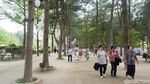 Foto: Negara Dalam Negara di Korea Selatan