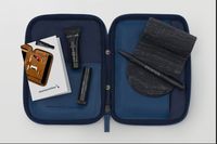 (American Airlines)