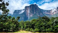 Dari kejauhan, pemandangan di Angel Falls bikin terkagum-kagum. Sehingga banyak wisatawan berangapan air terjun ini jalur bidadari turun ke bumi. (iStock)