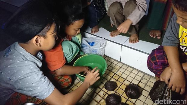 Anak-anak kumpulkan buah Maja yang mengering/