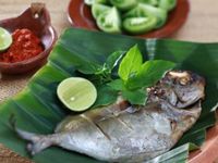 Ikan Bakar Pedas Manis hingga Sambal Andaliman, Ini 5 Resep Olahan Ikan Praktis