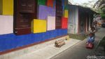 Foto: Kampung Wisata di Banyumas yang Instagenic dan Edukatif