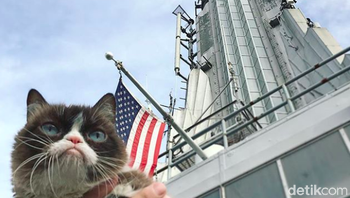 Grumpy Cat juga sering sekali menghadiri undangan. Ini saat dia berada di New York. Foto: Instagram
