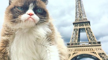 Dan ini saat berada di Paris. Foto: Instagram