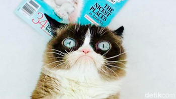 Grumpy Cat muncul di banyak media termasuk di cover Readers Digest ini. Dia mulai tenar berkat video YouTube tentangnya yang diposting pada tahun 2012 lampau dan disaksikan banyak netizen. Foto: Instagram