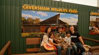  Caversham Wildlife Park (Masaul/detikcom)