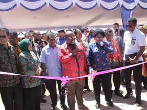 Kemenpar Bangun Taman Wisata Mangrove Pertama di Tanah Papua