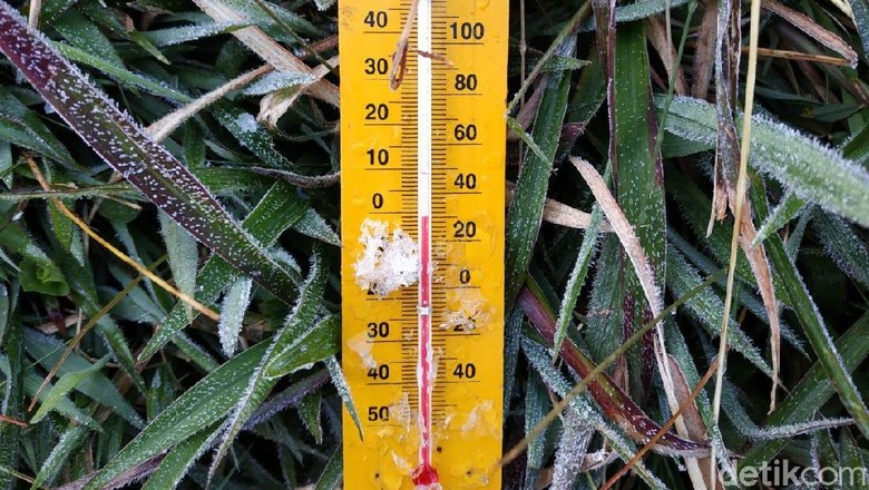 Beku! Suhu di Dieng Capai Minus 1 Derajat Celsius Hari Ini Beku! Suhu di Dieng Capai Minus 1 Derajat Celsius Hari Ini