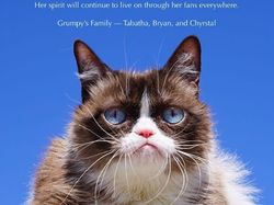 Mengenang Grumpy Cat, Si Pemurung yang Berlimpah Harta