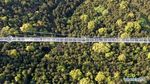 Jembatan Kaca Ini Bisa Tampung 2.600 Orang Sekaligus, Berani Coba?