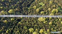 Jembatan kaca ini membentang sepanjang 518 meter. Istimewa/Xinhuanet/Xu Congjun.