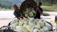 Penduduk bisa mengirimkan produk pertaniannya lebih mudah dan menghasilkan lebih banyak pengunjung di daerah tersebut. Istimewa/Xinhuanet/Yang Wenbin.