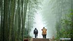 Jalan Cantik di Pegunungan China Ini Bantu Kurangi Kemiskinan