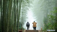 Pengunjung biasa mengunjungi Taman Hutan Nasional Chishui Zhuhai yang asri di daerah tersebut. Istimewa/Xinhuanet/Yang Wenbin.