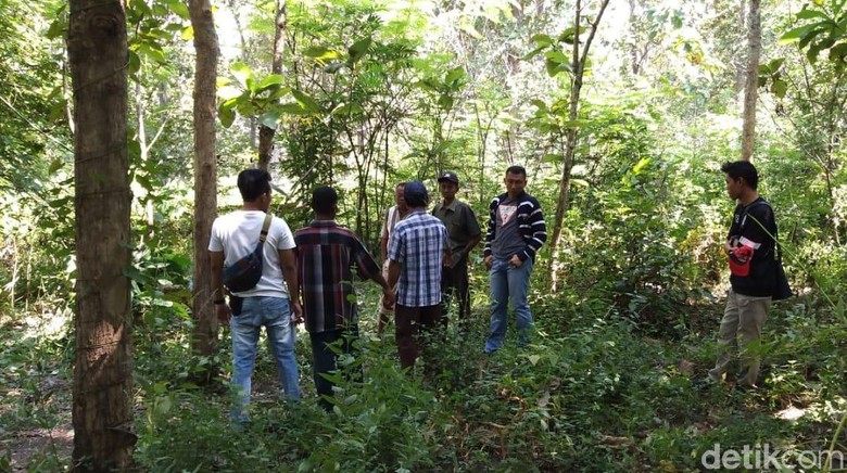 Mayat Pria Penuh Luka di Hutan Blora Diduga Korban Pembunuhan Mayat Pria Penuh Luka di Hutan Blora Diduga Korban Pembunuhan