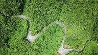 Ini adalah penampakan jalan di Taman Hutan Nasional Chishui Zhuhai di Kota Chishui, Provinsi Guizhou di China barat daya. Istimewa/Xinhuanet/Yang Wenbin.