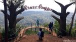 Foto: Hutan Pinus Pengger yang Instagramable di Bantul