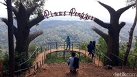 Untuk mencapai Pinus Pengger pengunjung hanya perlu melakukan perjalanan darat sejauh 23 kilometer dari jantung Kota Yogyakarta ke Desa Terong, Kecamatan Dlingo, Bantul. (Pradito/detikcom) 