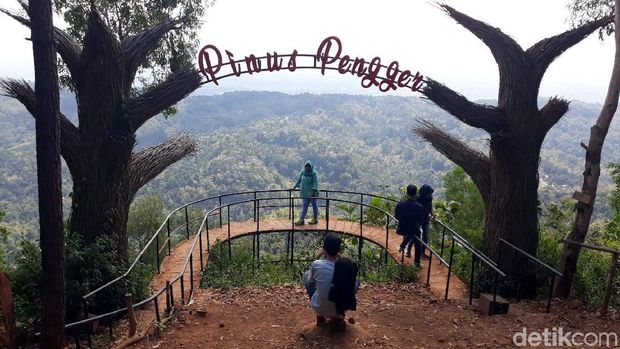 Hutan Pinus Instagramable di Bantul