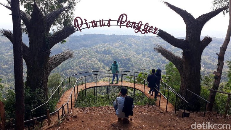Pinus Pengger Bantul (Pradito Rida Pertana/detikcom) Pinus Pengger Bantul (Pradito Rida Pertana/detikcom)