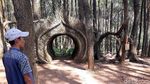 Foto: Hutan Pinus Pengger yang Instagramable di Bantul