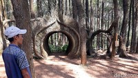 Ada banyak spot foto Instagramable di destinasi wisata Pinus Pengger. Salah satunya adalah tangan raksasa ini. (Pradito/detikcom)