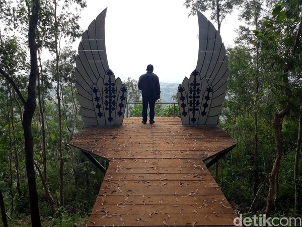 Foto Hutan Pinus Pengger Yang Instagramable Di Bantul 8394