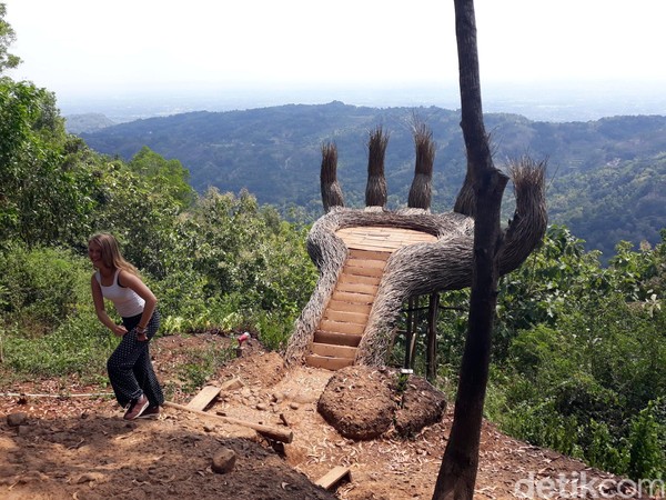 Foto Hutan Pinus Pengger Yang Instagramable Di Bantul 0833