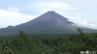 8600 Hantu Gunung Merbabu HD Terbaik