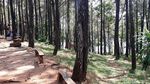 Foto: Puncak Becici yang Lagi Sepi