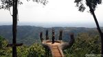 Foto: Hutan Pinus Pengger yang Instagramable di Bantul