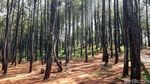 Foto: Puncak Becici yang Lagi Sepi