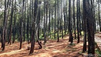 Suasana sepi dan lengang tampak menghiasi objek wisata ini. Jumlah wisatawan yang datang saat bulan Ramadhan berkisar 4-5 ribu orang. (Pradito/detikcom)