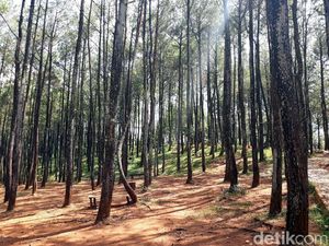 Minggu Kedua Ramadhan, Pengunjung Kawasan Wisata Dlingo Menurun