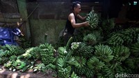 Seorang pedagang menata pisang dengan cara ditumpuk di Pasar Kramatjati.