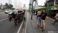 Sejumlah delman mangkal di Jalan MH Thamrin, Jakarta Pusat, Minggu (19/5/2019).