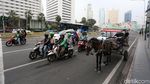 Duh, Delman Mangkal di Jalan MH Thamrin