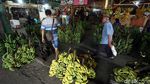Permintaan Pisang Meningkat Selama Ramadhan