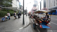 Beberapa delman itu mengkal berderet di jalan protokol tersebut.