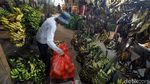 Permintaan Pisang Meningkat Selama Ramadhan
