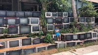 Keunikannya sampai mendapat banyak perhatian di media sosial. Istimewa/Thanh Tien.