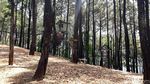Foto: Puncak Becici yang Lagi Sepi